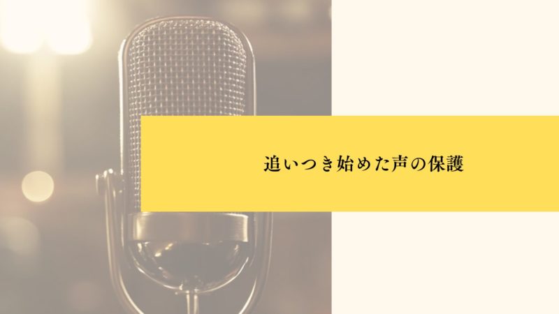 追いつき始めた声の保護